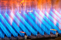 Hirwaen gas fired boilers